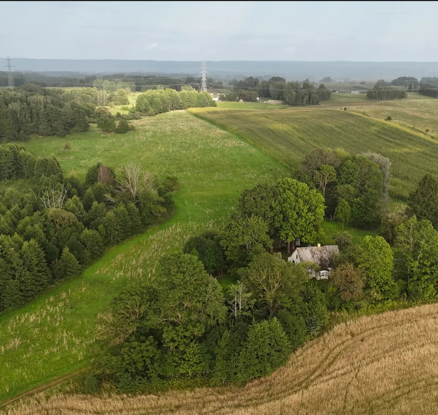 Parduodama 13,44 Ha Žemės Ūkio Paskirties Žemė Su Mišku Lazdijų R. – Žemaitkiemis, Lazdijų rajonas. 